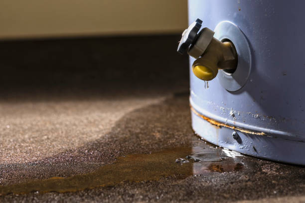 Best Emergency water damage restoration  in Gorevle, IL