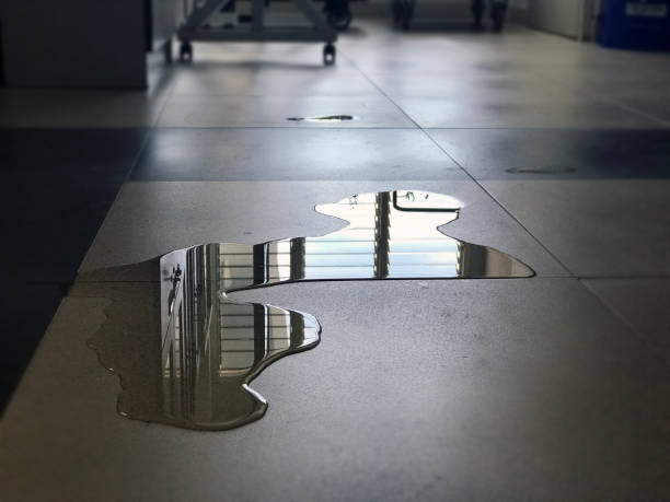 Best Water damage restoration near me  in Gorevle, IL