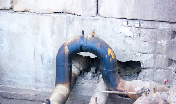 Best Water damage restoration near me  in Gorevle, IL